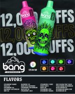 Bang Puff 12k Disposable Vape
