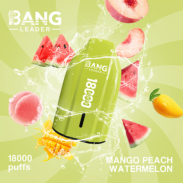 BANG LEADER 18K Vape | 18000 Puffs Disposable Vapes - Image 6