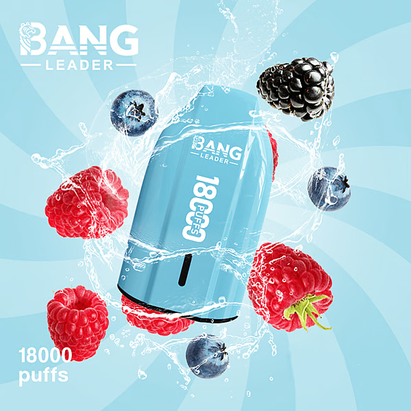BANG LEADER 18K Vape | 18000 Puffs Disposable Vapes - Image 7