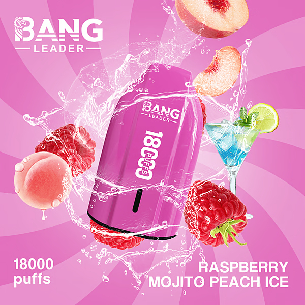 BANG LEADER 18K Vape | 18000 Puffs Disposable Vapes - Image 9