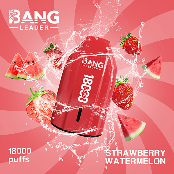 BANG LEADER 18K Vape | 18000 Puffs Disposable Vapes - Image 13