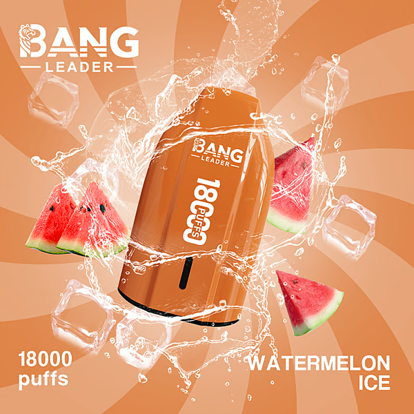 BANG LEADER 18K Vape | 18000 Puffs Disposable Vapes - Image 14