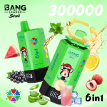 Bang Leader Stoll Puff 300k 6-in-1 Flavor Disposable Vape