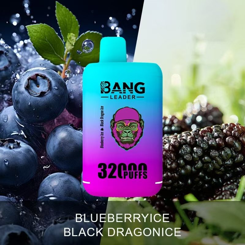Bang Leader 32000 32k Puffs Disposable Vape