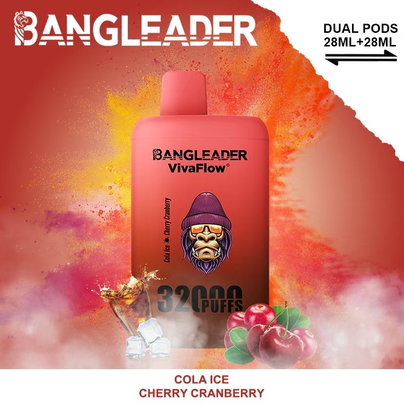 Bang Leader 32000 32k Puffs Disposable Vape - Image 13