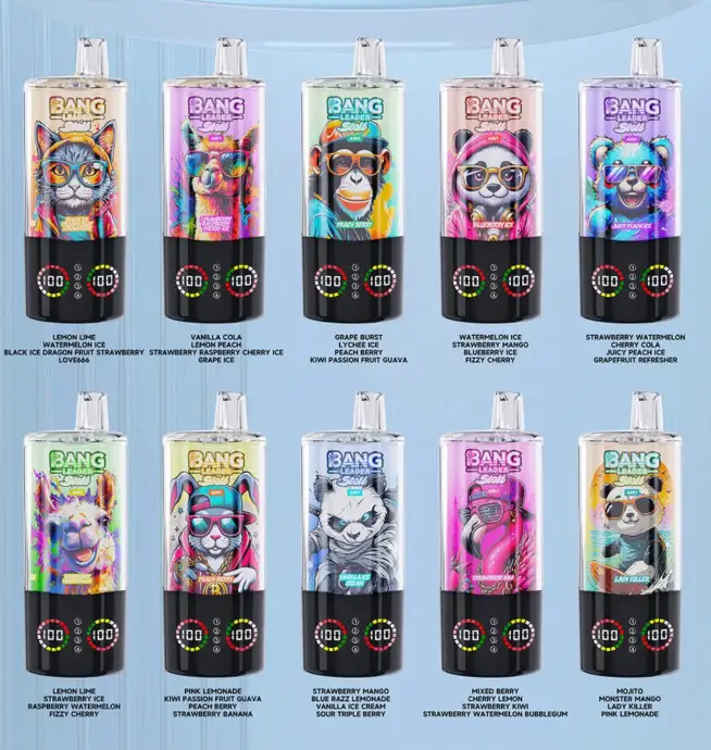 Bang Leader Stoll 100K 100000 Puffs 4 in 1 Flavors & LED Display Disposable Vape - Image 2