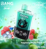 Bang Leader Stoll 120K Disposable Vape ?C Dual Flavor