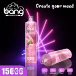 Bang SHISHA 15000 Puffs Disposable Vape