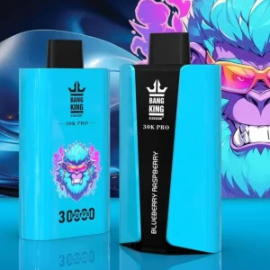 Bang King 30000 Pro Disposable Vape - 30K Puffs Dual Mesh Beast