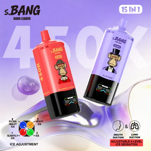 Bang Leader 450K Puffs Disposable Vape